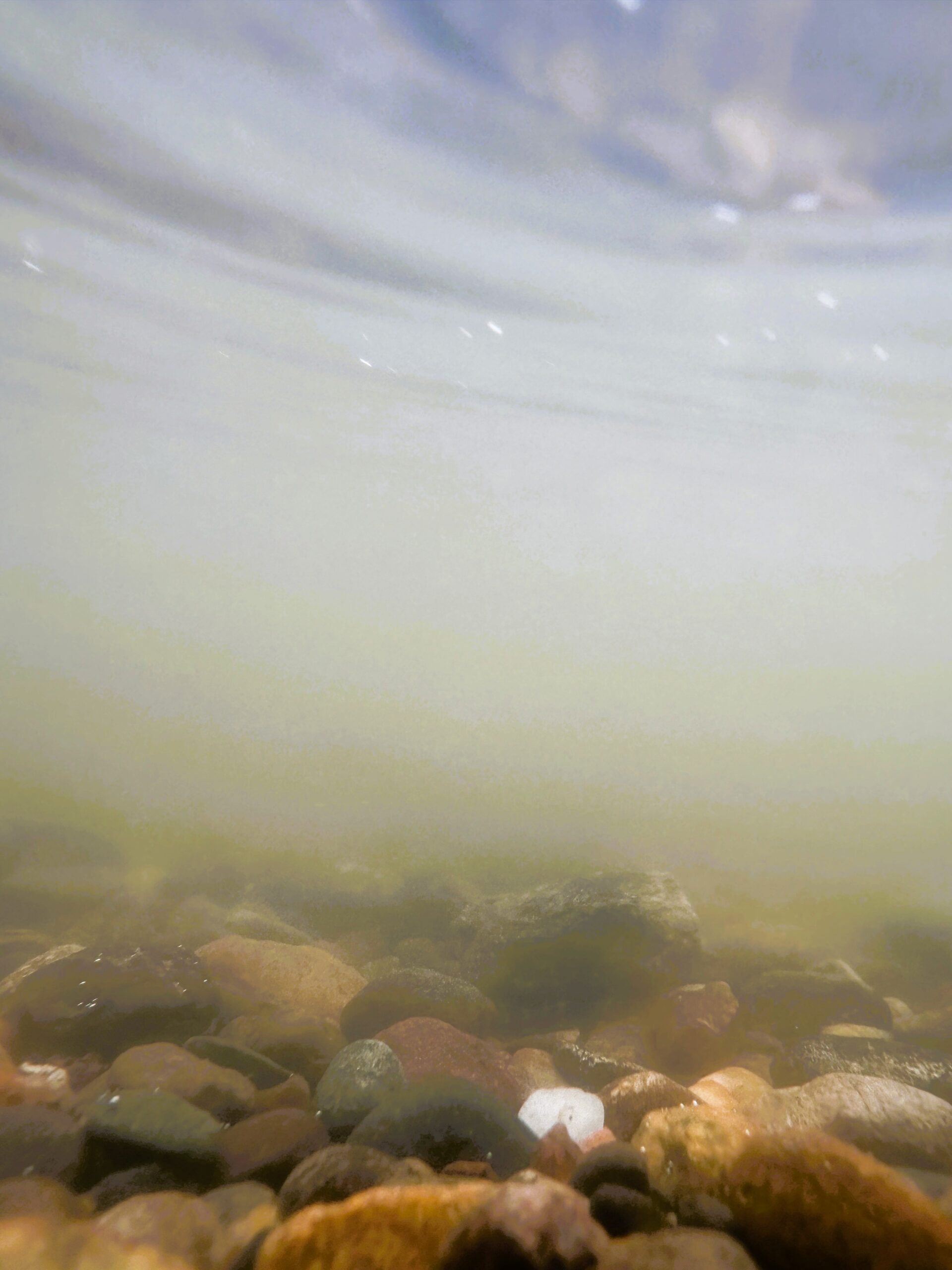 underwater shot of pond