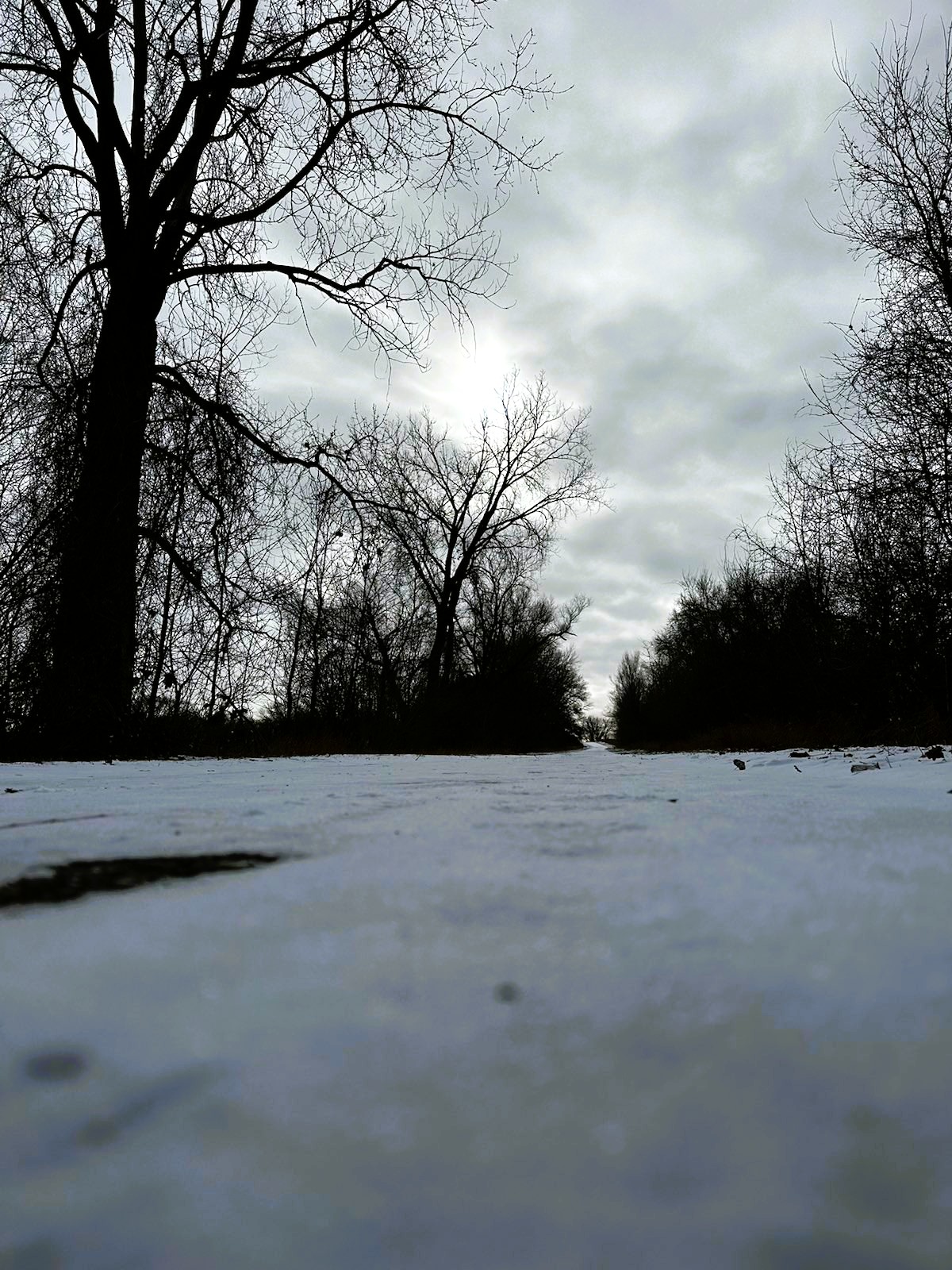 Hard pack snow covered trail